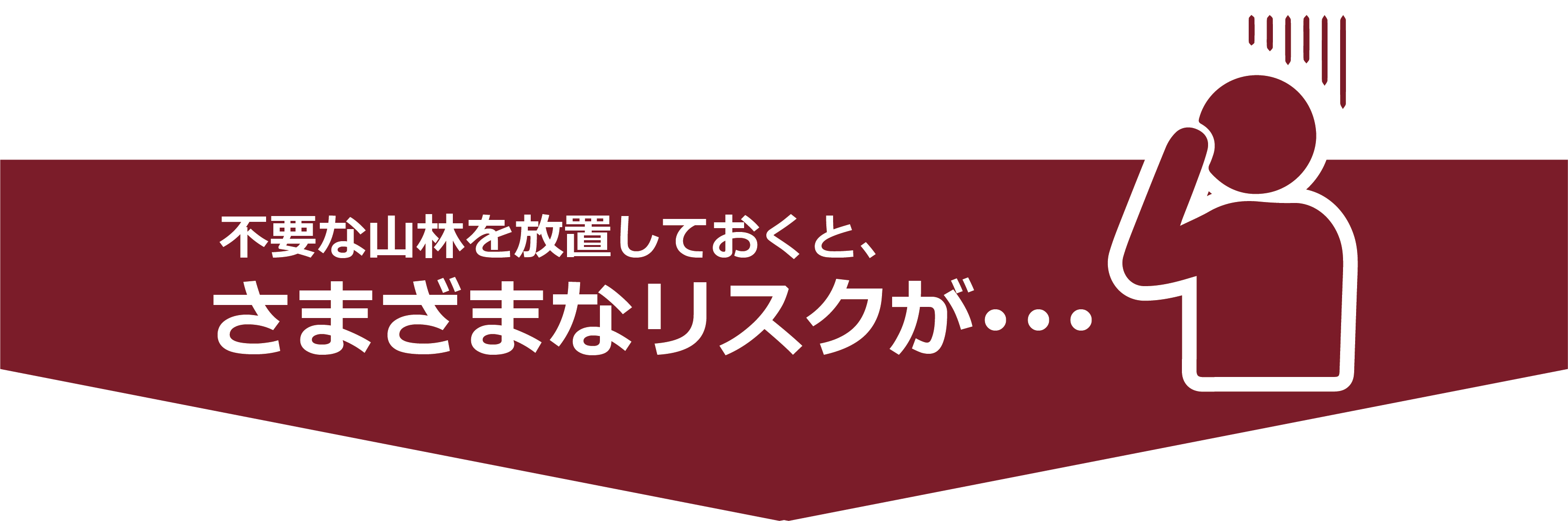 不要な山林を放置しておくと、さまざまなリスクが･･･